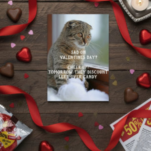 Lustiges Katzen-Valentinstags-Meme Einzeln