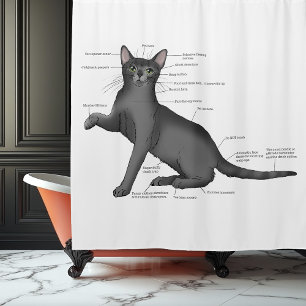 Lustiges Katzenanatomie-Diagramm Humor Nerdig Duschvorhang