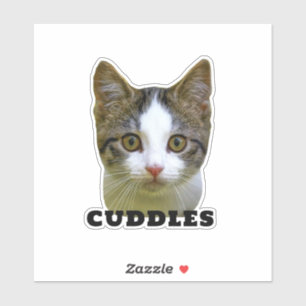 Lustiges Katzenfoto und Name wasserfester Vinyl-Pe Aufkleber