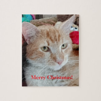 Lustiges Katzenfoto-Weihnachtsrätsel