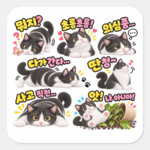 Lustiges Koreanisches Smoking-Katzchen-Sticker-Pak Quadratischer Aufkleber