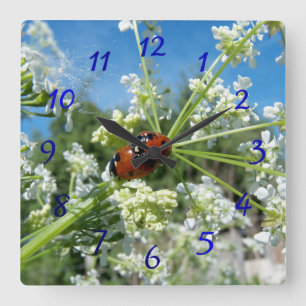 lustiges Ladybug Glück bei Liebe spielen im Frühja Quadratische Wanduhr