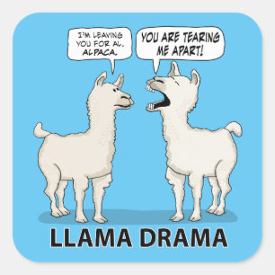 Lustiges Lama-Drama Quadratischer Aufkleber