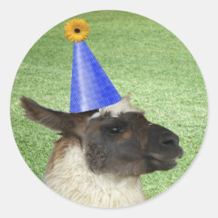 Lustiges Lama in den Party-Hutaufklebern Runder Aufkleber