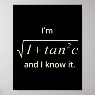 Lustiges Mathe-Witz-T-Shirt – Ich bin Sek C Trigon Poster
