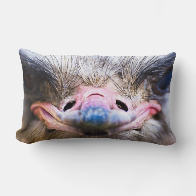 Lustiges Ostrich-Gesichts-nahes hohes Kissen (Vorderseite)