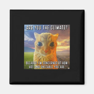 Lustiges Paar Valentinstag Orange Katze Meme Bist Magnet