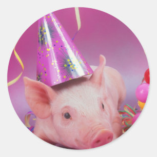 Lustiges Party-Schwein Runder Aufkleber