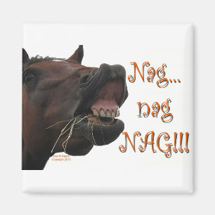 Lustiges Pferd: Nag, Nag, Nag Magnet