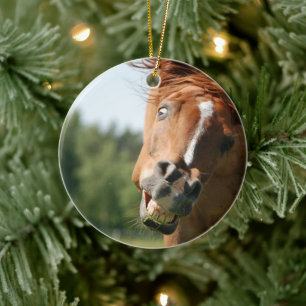 Lustiges Pferdegesicht mit gekrümmten Lippen, verr Keramik Ornament