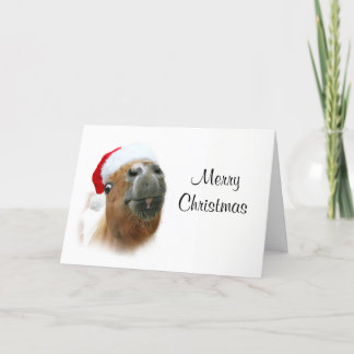 Lustiges Pferdweihnachten Feiertagskarte