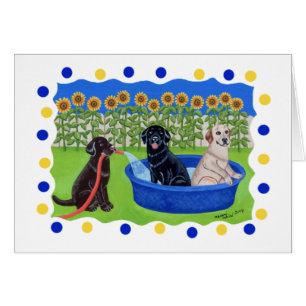 Lustiges Pool-Party Labradors