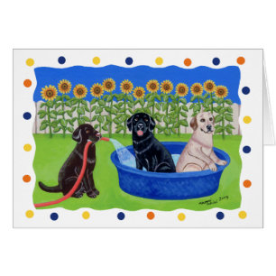Lustiges Pool-Party Labradors