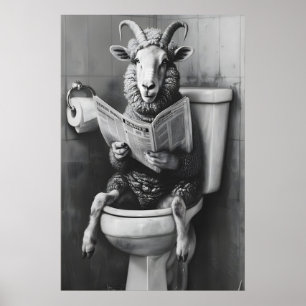 Lustiges Schaf-Badezimmer-Druck, Zeitung Toilette  Poster
