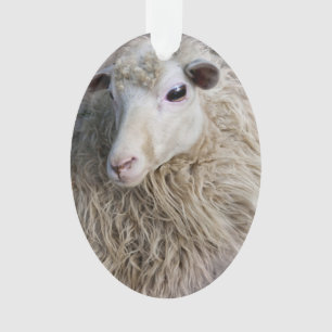 Lustiges Schaf Ornament