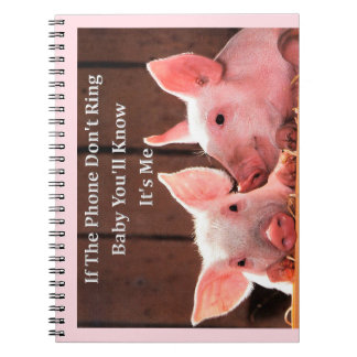 Lustiges Schwein Memes mit lustigen Notizblock