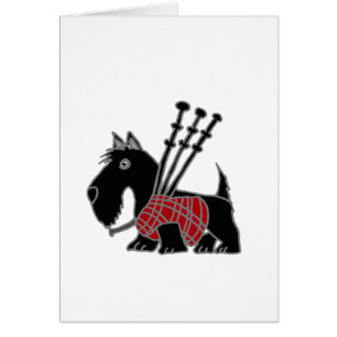 Lustiges Scottish-Terrier-Hündchen, das Dudelsäcke