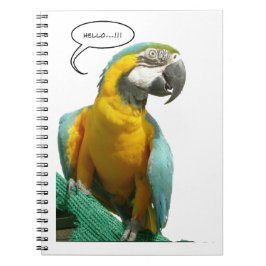 Lustiges Unterhaltungs-Papageien-Notizbuch Notizblock