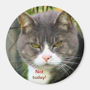 Lustiges VERÄRGERTES CAT-Sprichwort, "NICHT HEUTE Magnet