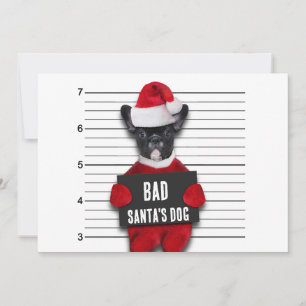 Lustiges Weihnachten mit Bad Santas Hundemugshot