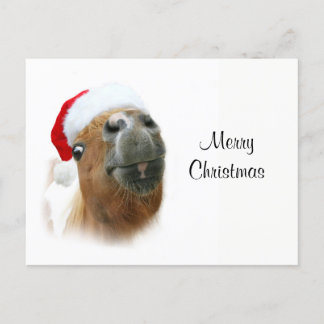 Lustiges Weihnachtspferd Feiertagspostkarte