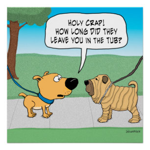 Lustiges Wrinkly Shar-Pei Hundeplakat Poster