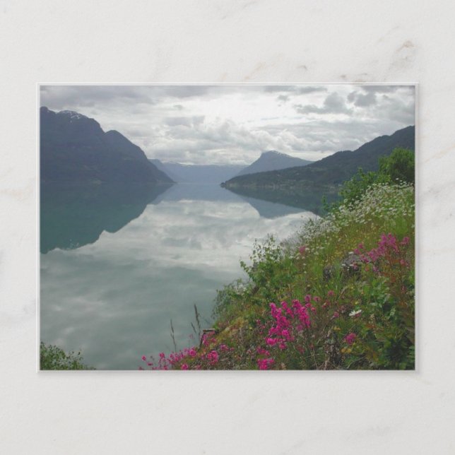 Lustrafjorden Panorama Postkarte (Vorderseite)