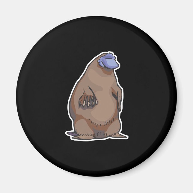 Lustschildkröte Magnet (Vorne)