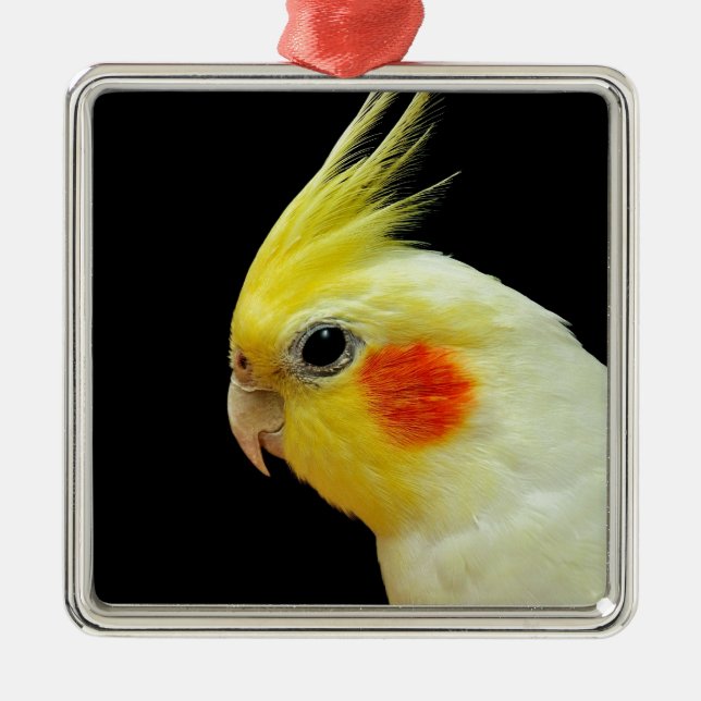 Lutino Cockatiel Silbernes Ornament (Vorne)