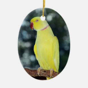 Lutino Inder Ringneck Parakeet-Natur Keramik Ornament