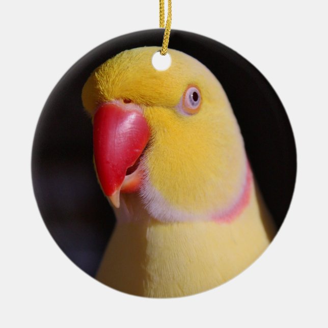 Lutino Inder Ringneck Parakeet-Schnabel Keramik Ornament (Vorne)
