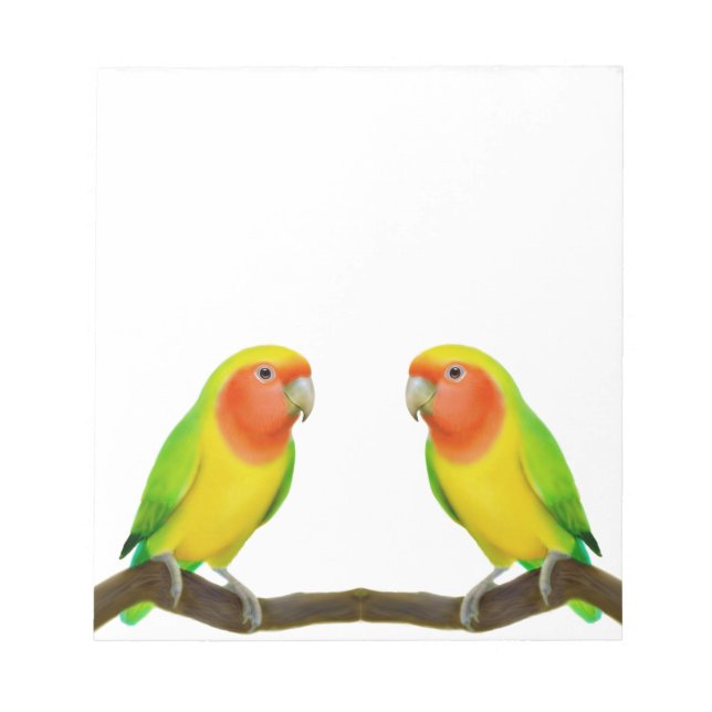 Lutino Lovebird Liebe Notepad Notizblock (Vorderseite)