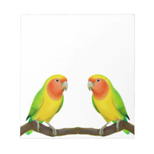 Lutino Lovebird-Liebe-Notizblock Notizblock
