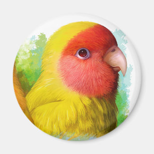 Lutino peach lovebird magnet