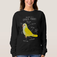 Lutino Quaker Parrot Anatomie Niedlich Papagei Bir