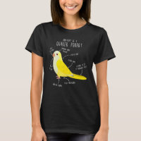 Lutino Quaker Parrot Anatomie Niedlich Papagei Bir