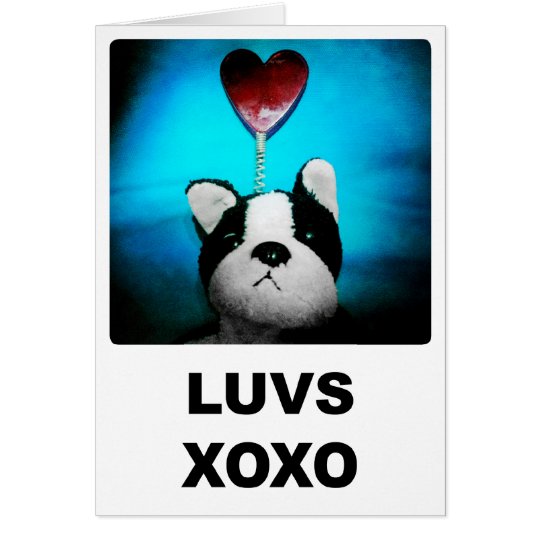 Luvs XOXO Karte