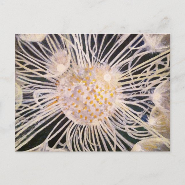 Lux ex Tenebris Postkarte (Vorderseite)