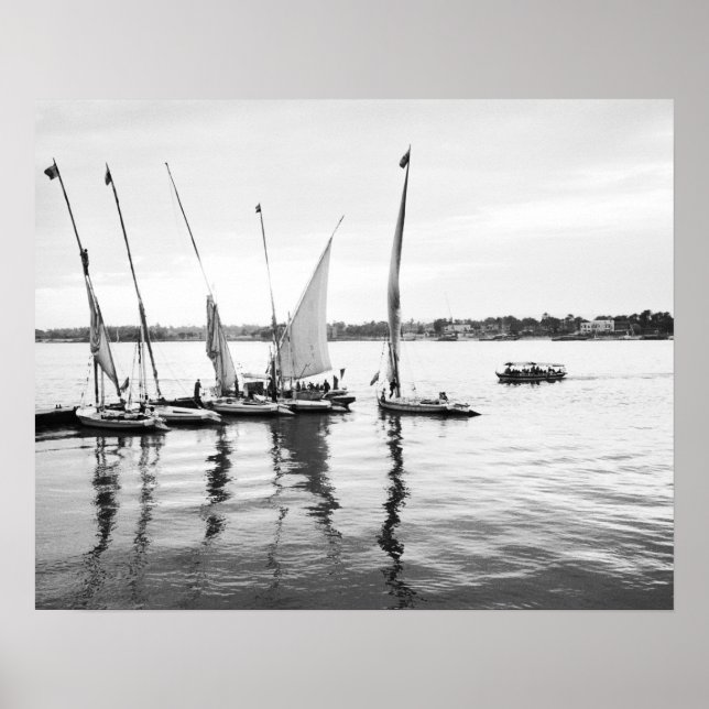 Luxor Ägypten, Feluccas am Nil Poster (Vorne)