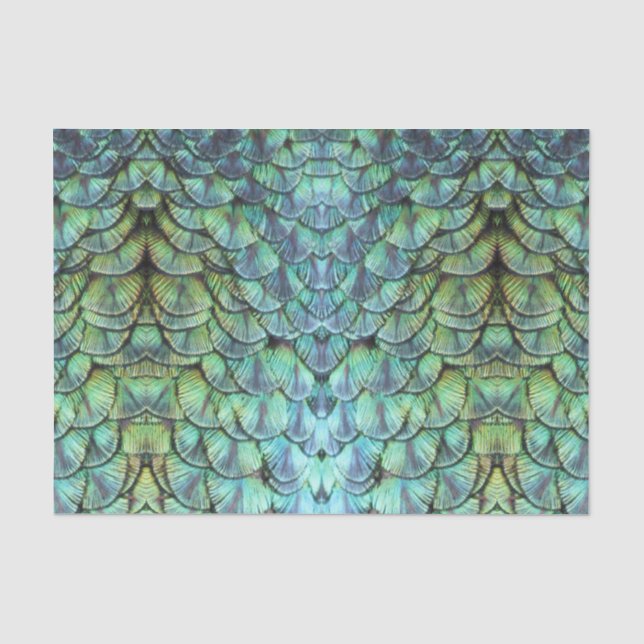 Luxuriöse Elegante Aquamarine Pfauenbackfedern Seidenpapier (Vorderseite)