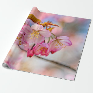 Luxuriöse Sakura Blume im Frühlingspark Geschenkpapier