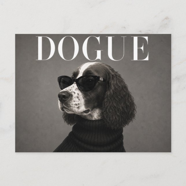 Luxuriöser Englischer Springer Spaniel Postkarte (Vorderseite)