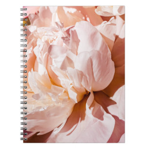 Luxus Peony Blume Blumenhintergrund Notizblock