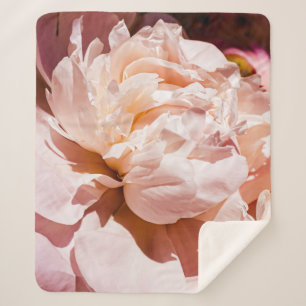 Luxus Peony Blume Blumenhintergrund Sherpadecke