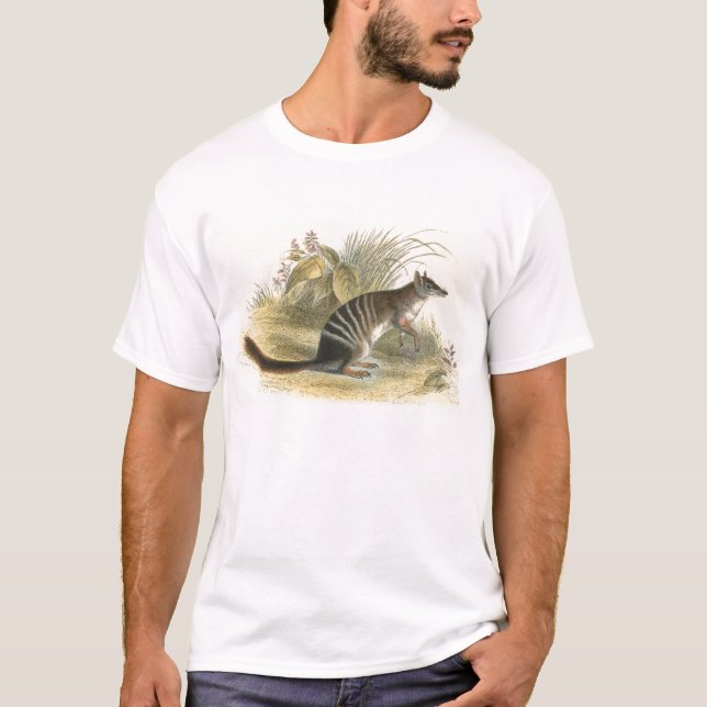Lydekker - Banded Ant-Eater - Numbat T-Shirt (Vorderseite)