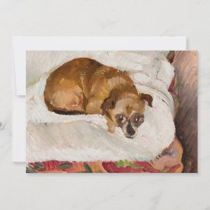 Lying Dog   Zygmunt Waliszewski