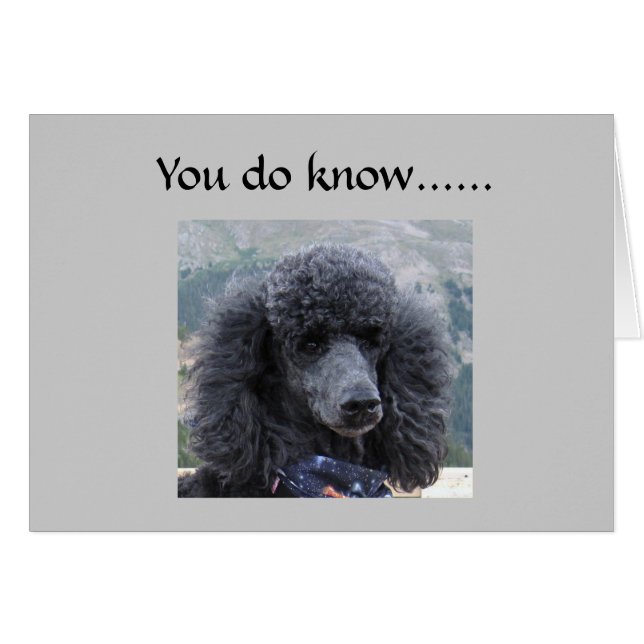 LYING IST NICHT AKZEPTABEL=40. SPASS (Vorderseite (Horizontal))