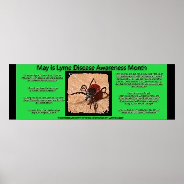 Lyme Disease Awareness Facts Poster (Vorne)