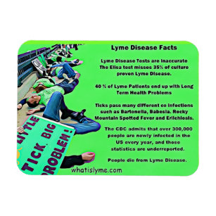 Lyme Disease Facts Protest Picture Magnet