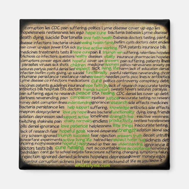 Lyme Disease Gefühls Poster Denied Ignored Magnet (Vorne)